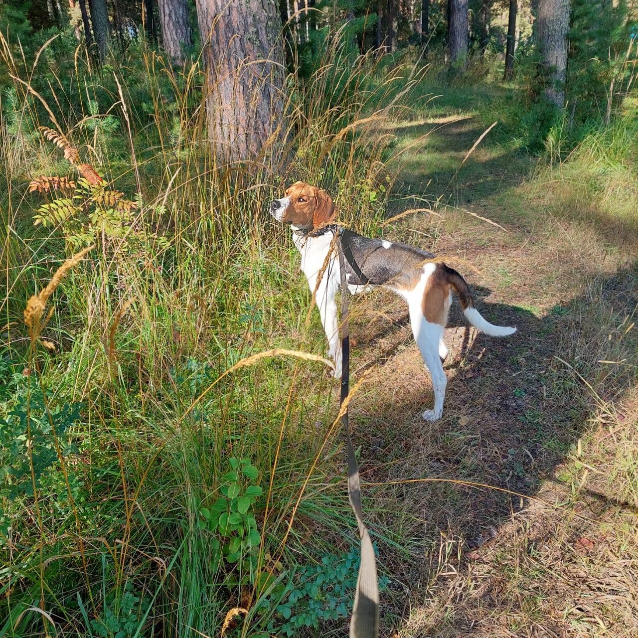 18 октября на 10м километре Ти...
