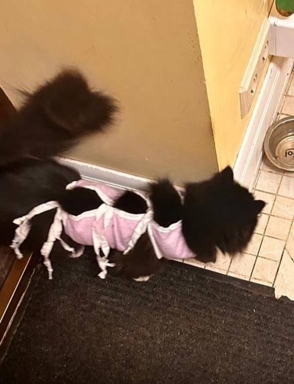 Здравствуйте!!! Помогите пожал...