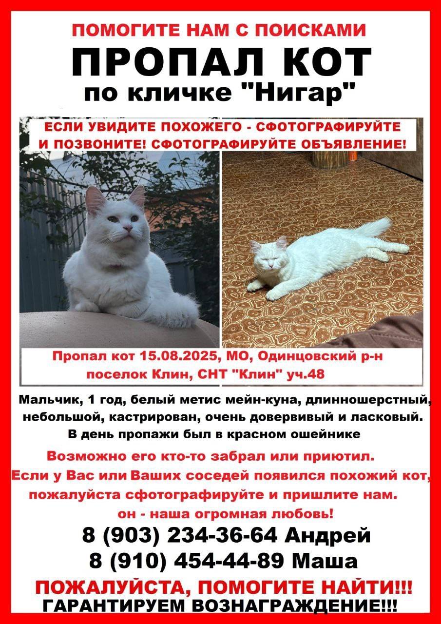 Мы не прекращаем поиски! Если ...