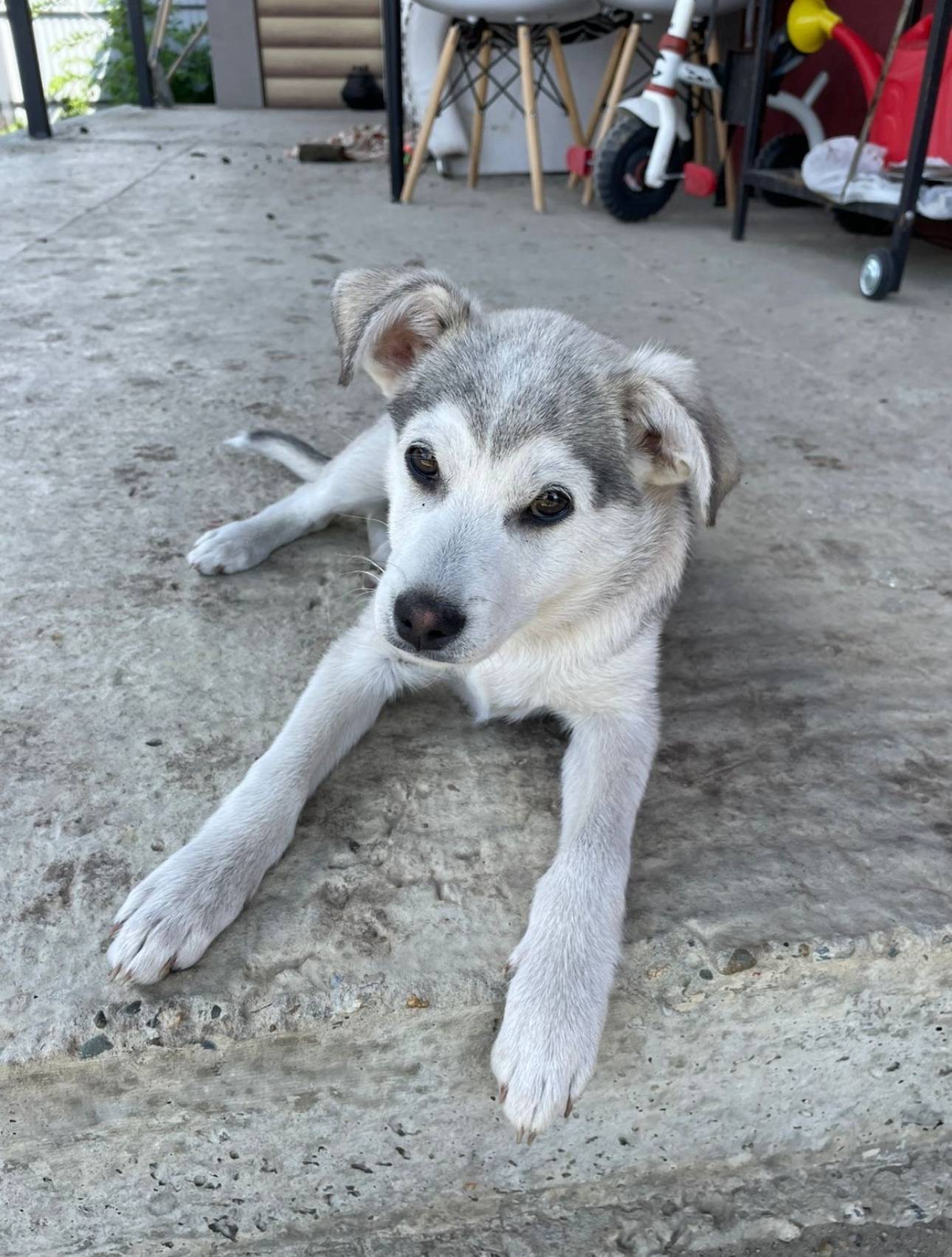 🆘Михайловск🆘 Район Вилла Терра...