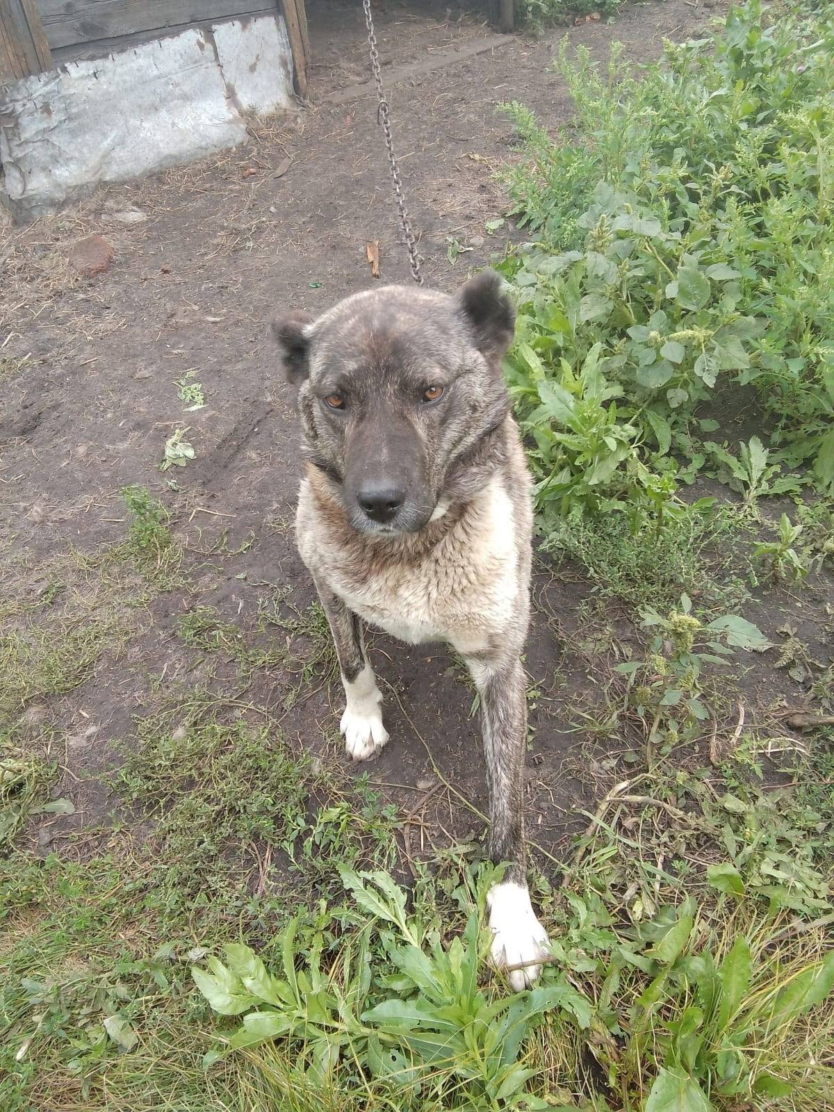 Киселевск 12 шахта , пропала с...