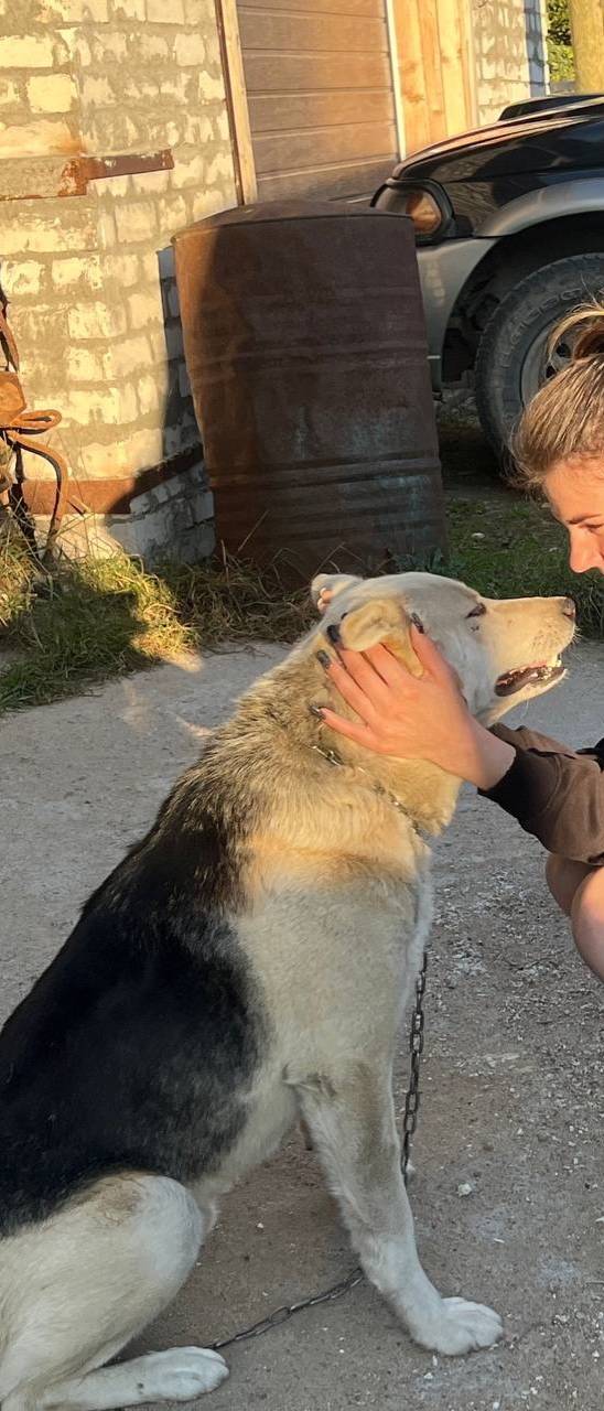 Несколько дней назад, пропала ...