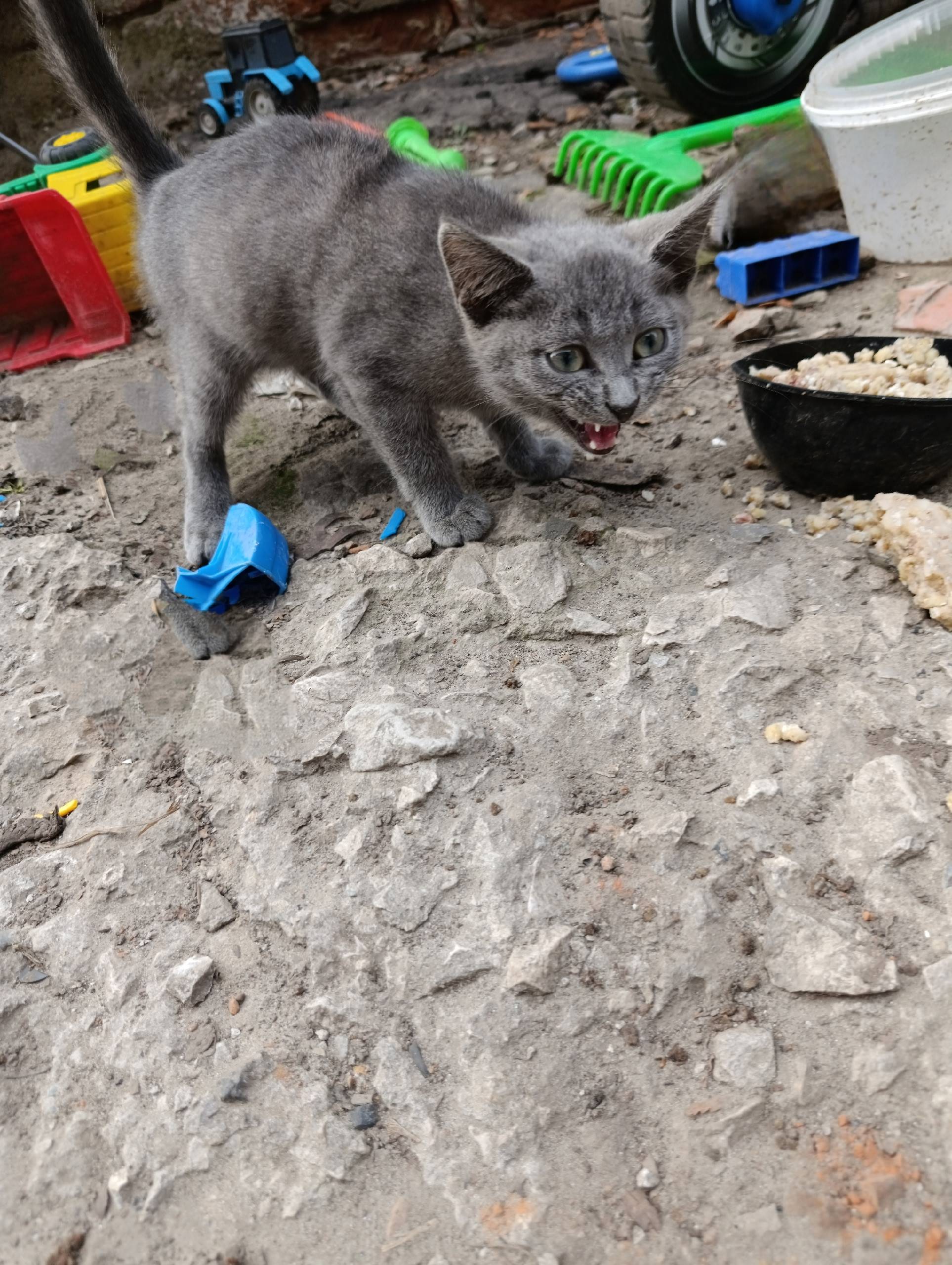 Всем доброго времени суток🌸 Не...