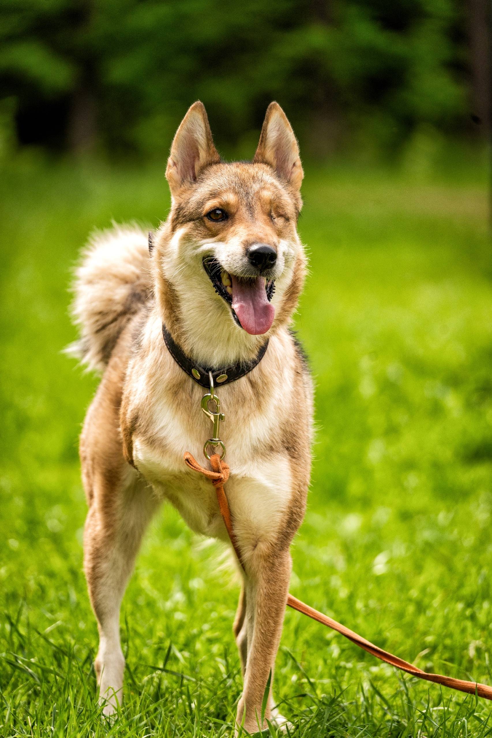 Инвалиды никому не нужны, но в...