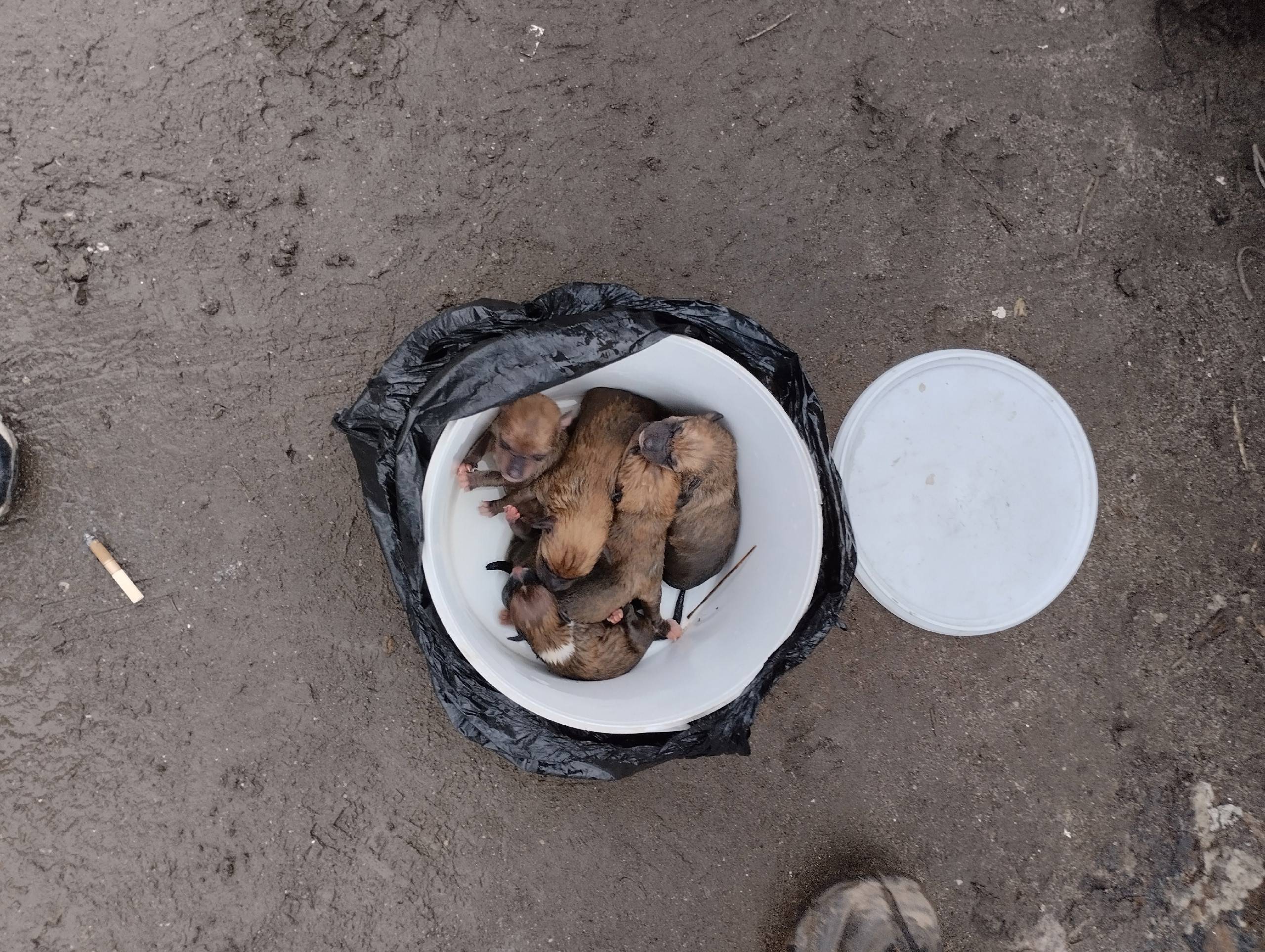 ‼️Вчера на ул.Лермонтова у мус...