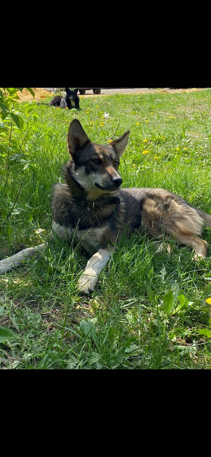 Друзья,я понимаю прошло много ...