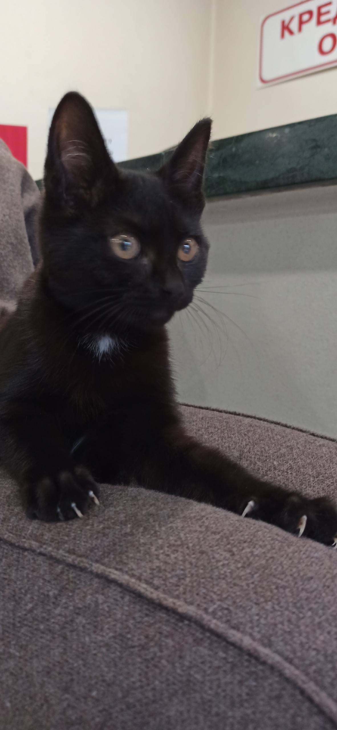 26 октября на пересечении Лени...