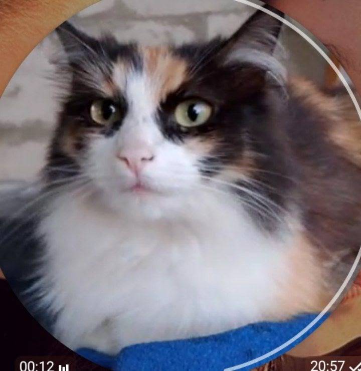 Район Свекольный (ул. Мичурина...