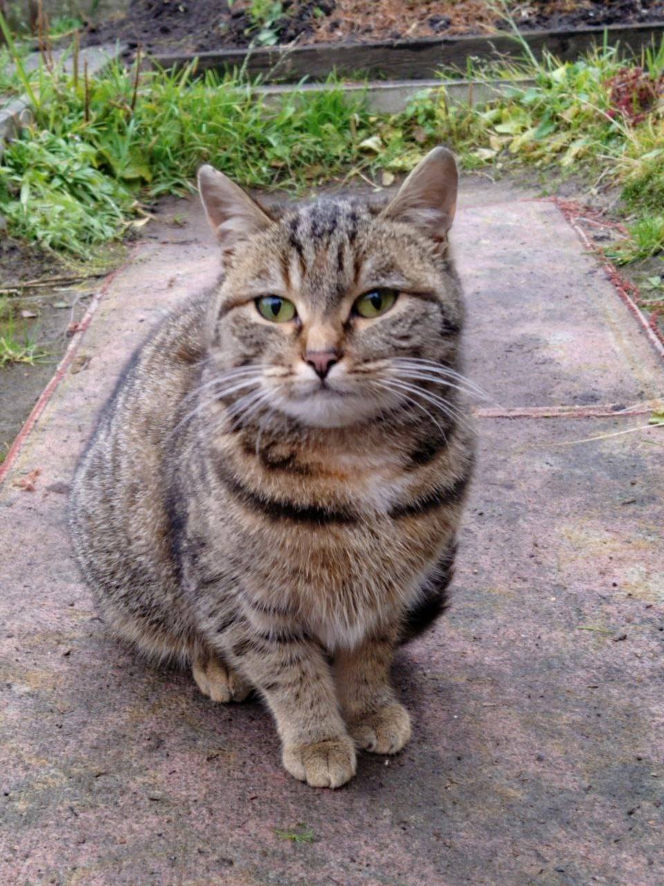 Дорогие мои друзья, знакомые, ...