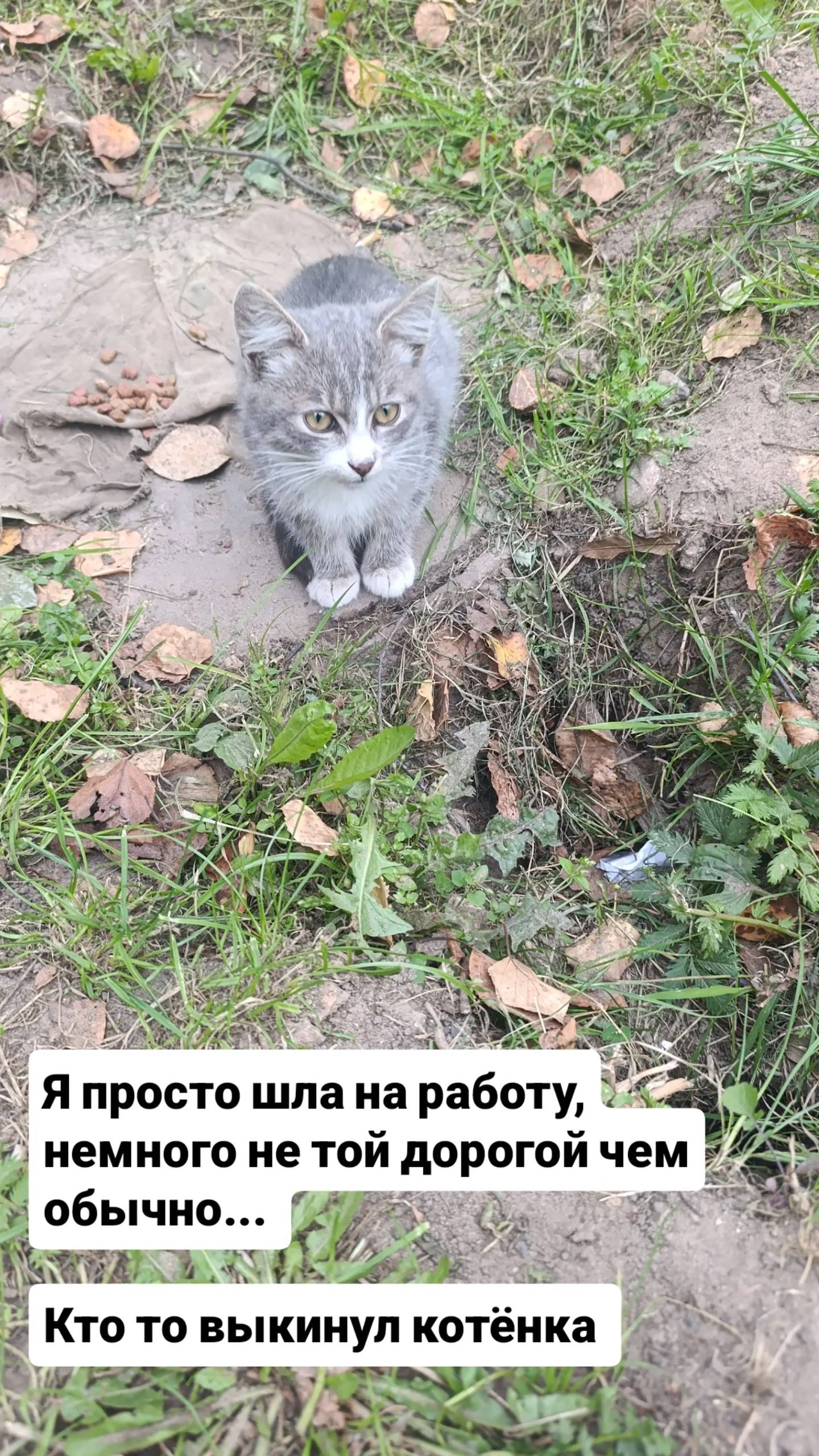 ‼️Полоцк, Мариненко, найден ко...