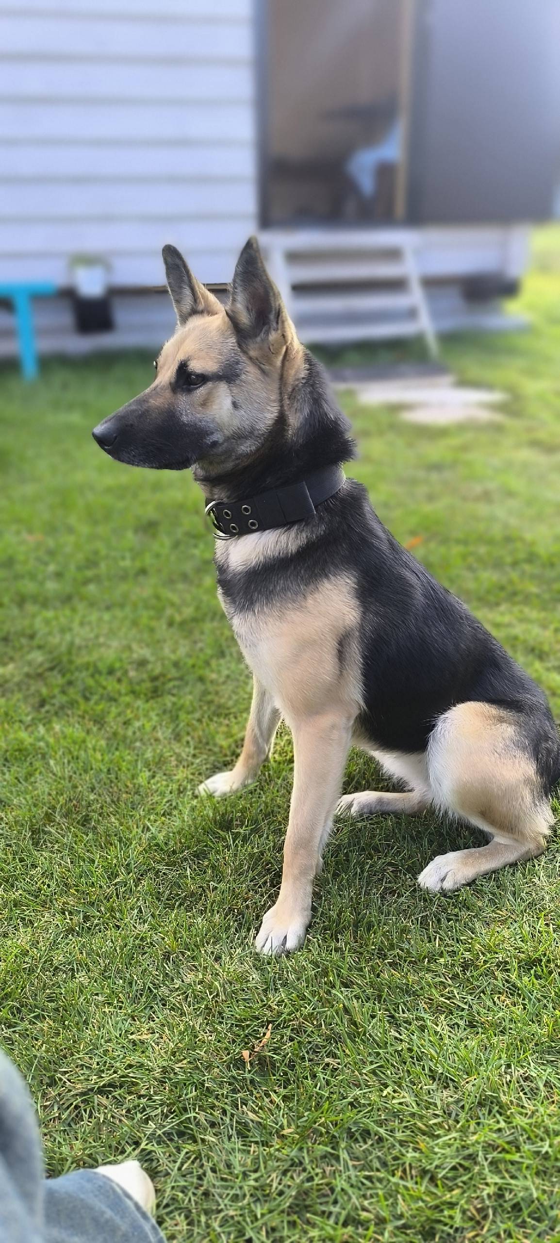 ВНИМАНИЕ!!! РЕПОСТ!!!! Потерял...