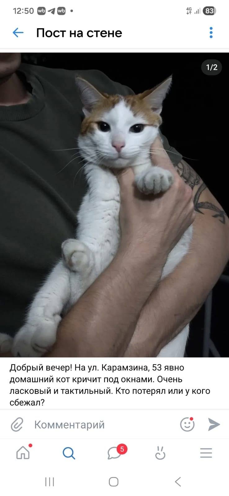 Кот Кубик, пропал около 2 меся...