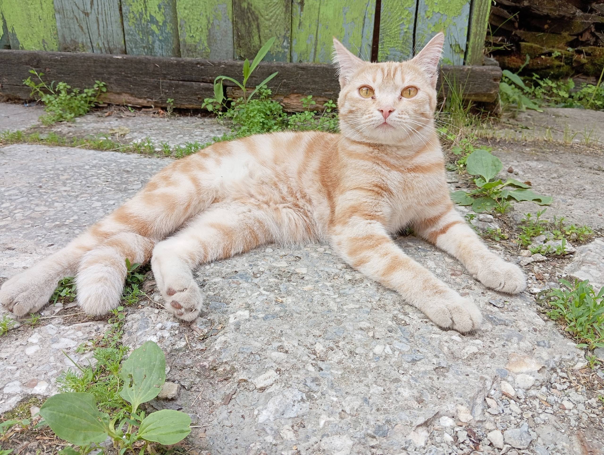 #БгдПомоги #Богданович Пропала...