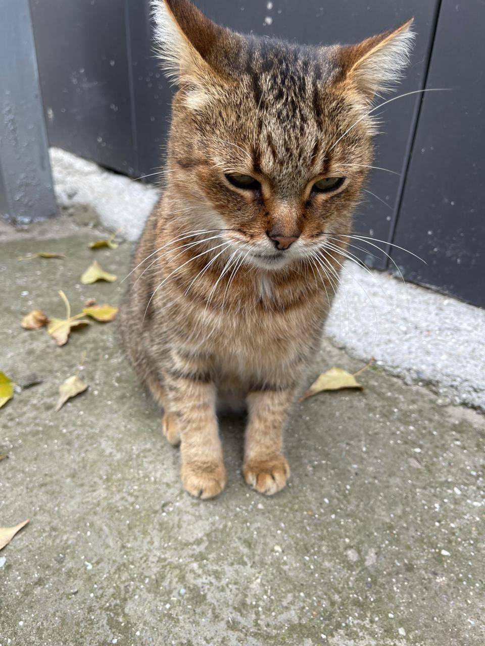 ВНИМАНИЕ 🙏🏻🙏🏻🙏🏻🙏🏻🙏🏻🙏🏻 Очень не...
