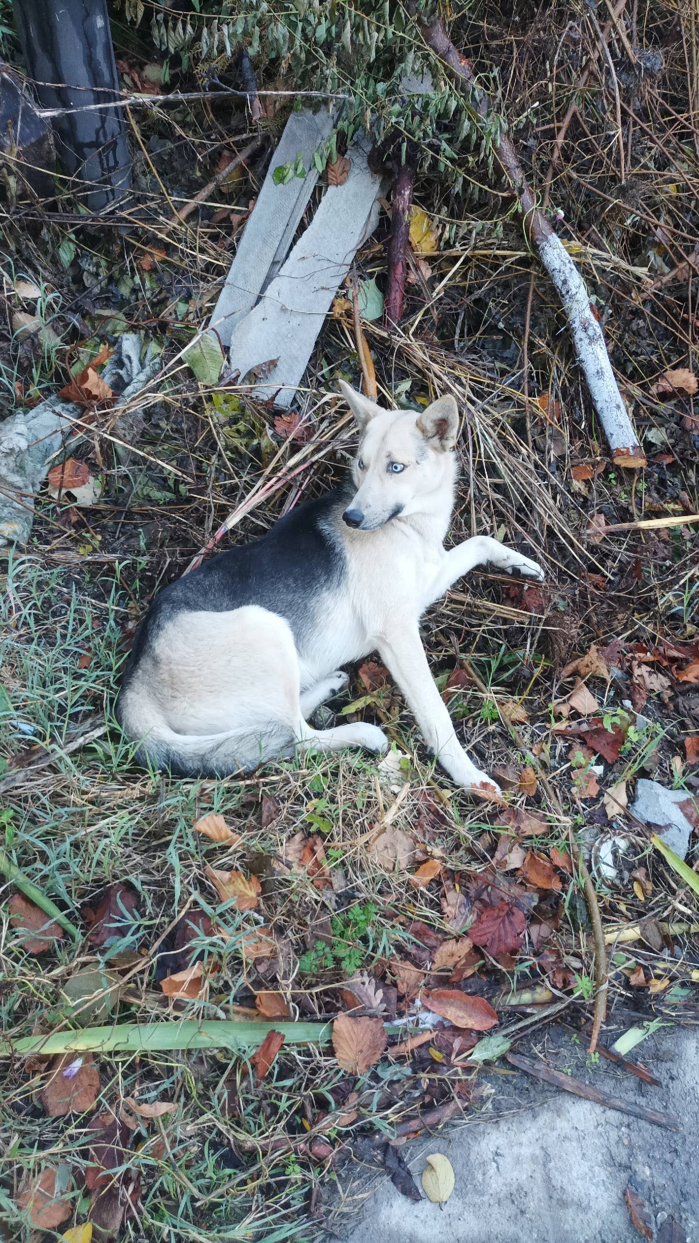 Здравствуйте. Грознефть ,рядом...