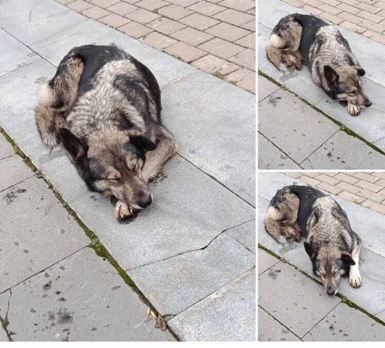 🆘🆘🆘🆘 Уфа!!! Пожалуйста репосты...