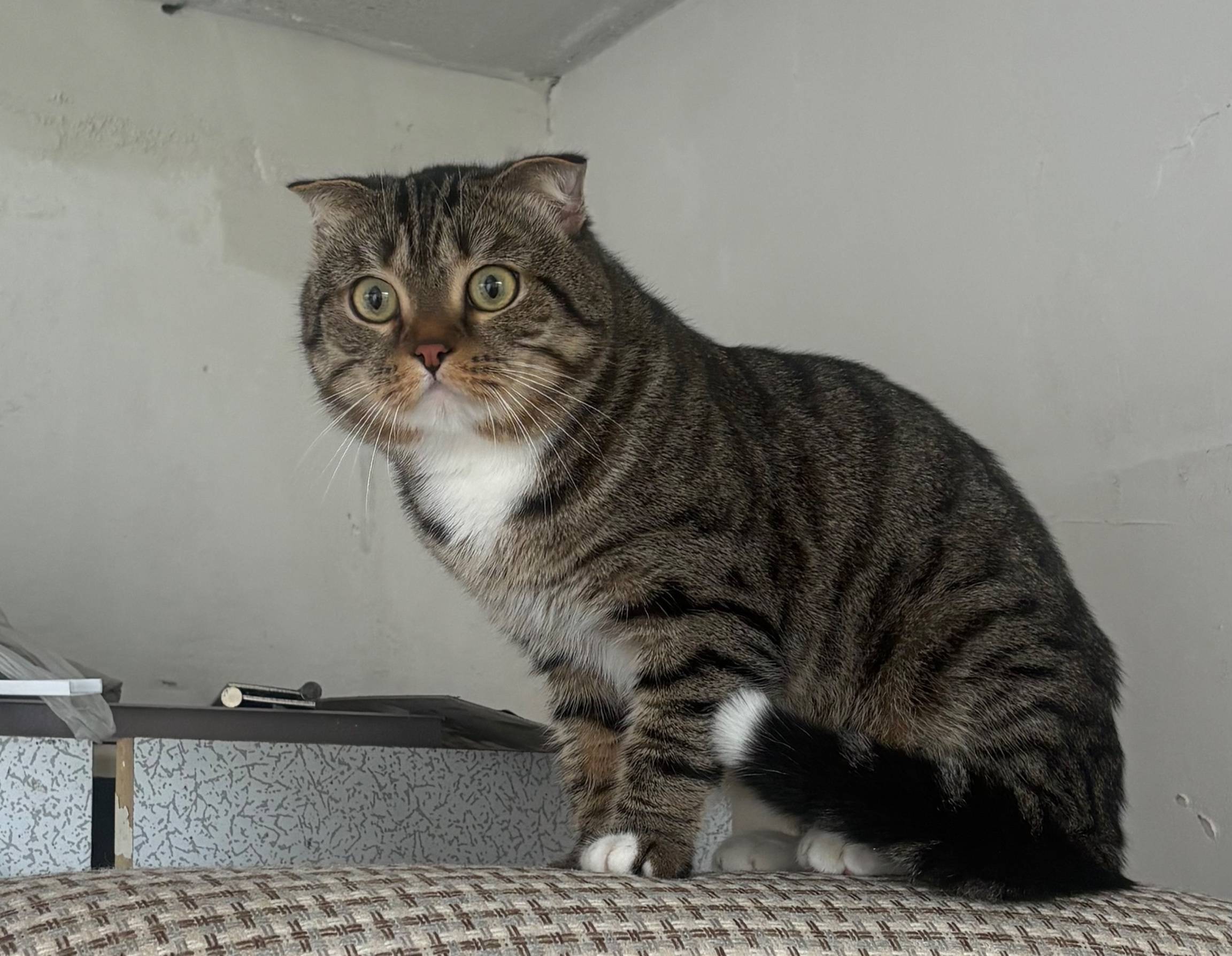 Прошу кто видел сообщить 🙏🏻 По...