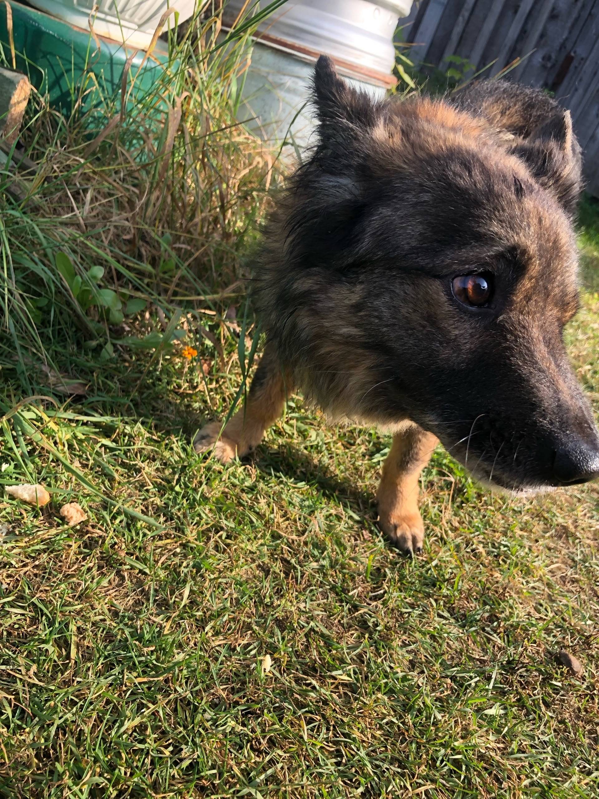 ❗ ❗❗❗❗❗❗❗❗❗❗❗❗❗ Дорогие друзья...