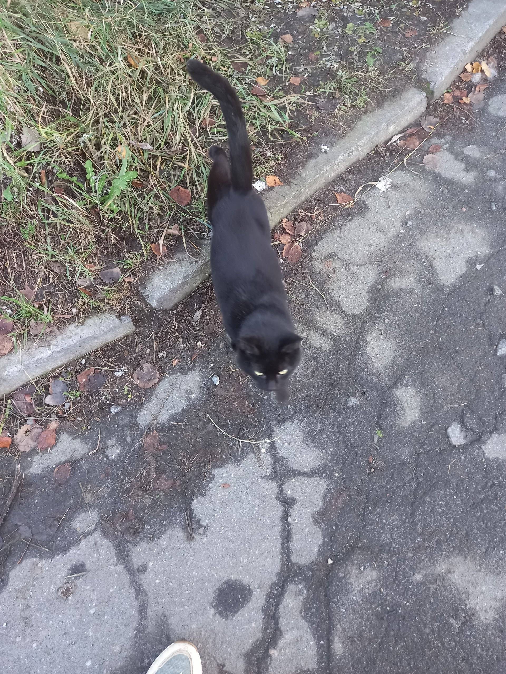 Северодвинск. Мальчик! ДОМАШНИ...