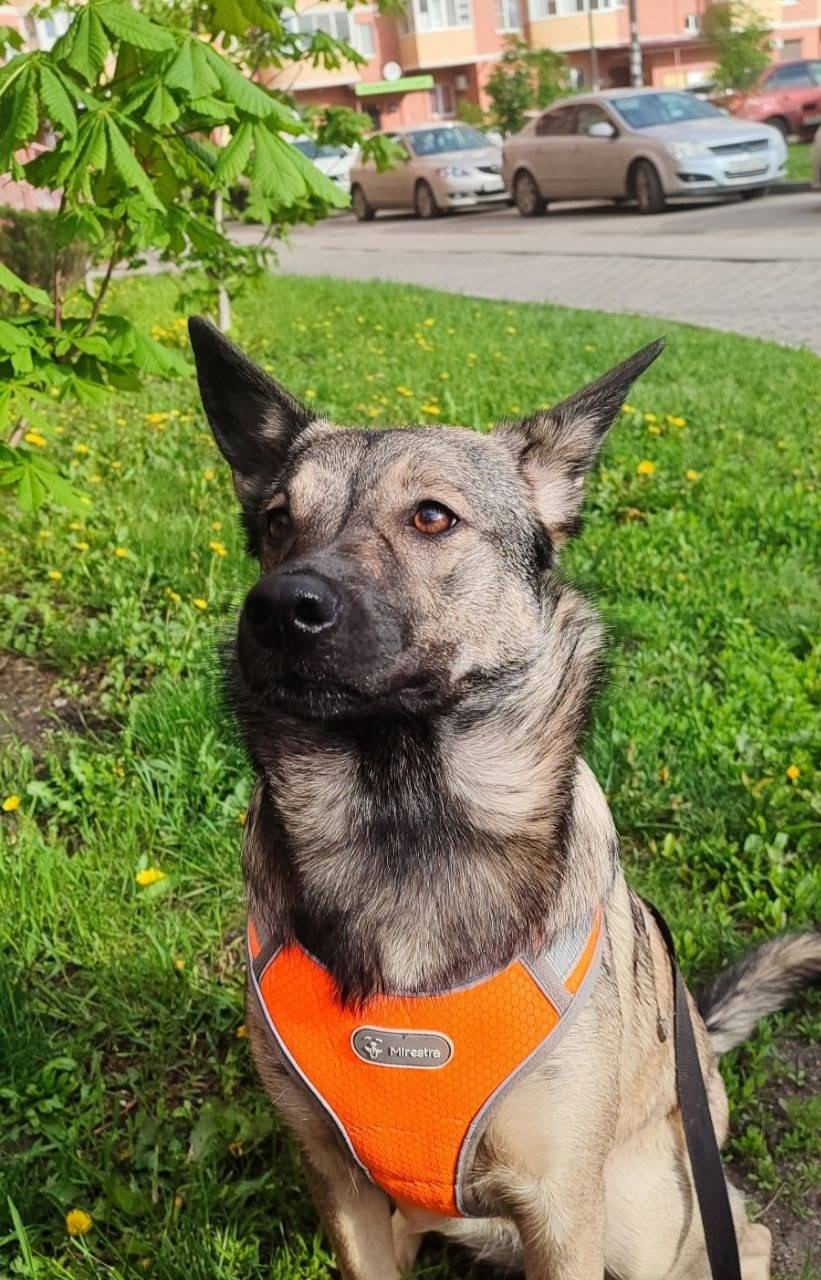 Здравствуйте уважаемые участни...