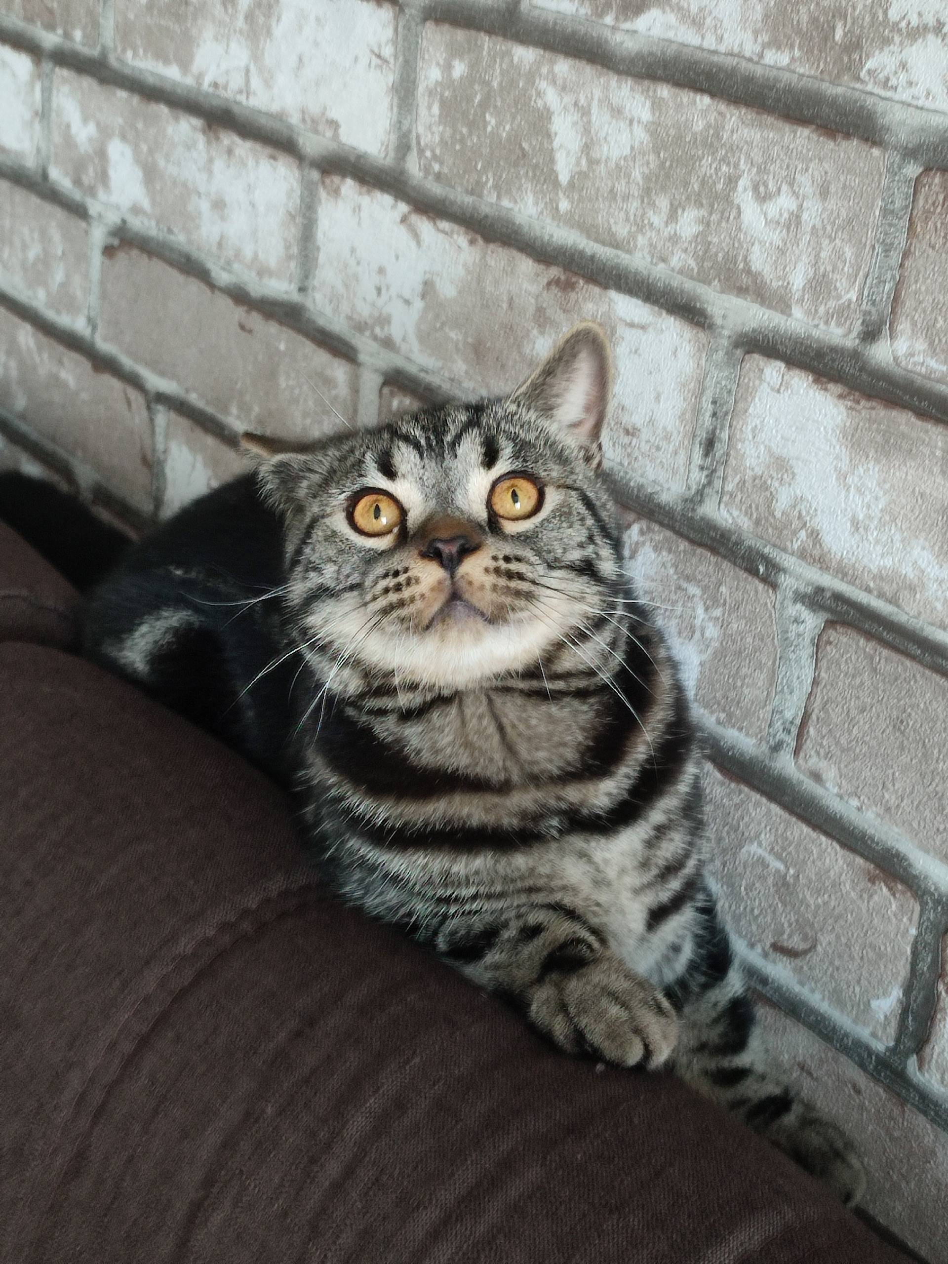 Здравствуйте по улице радужной...