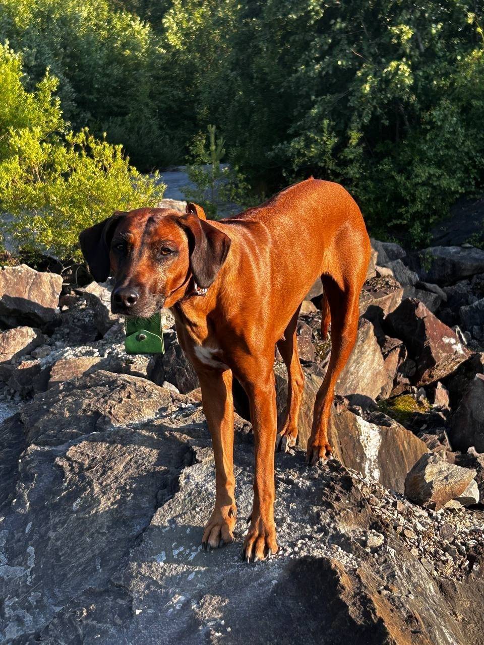 Соседи СПб Выборгский район Пр...