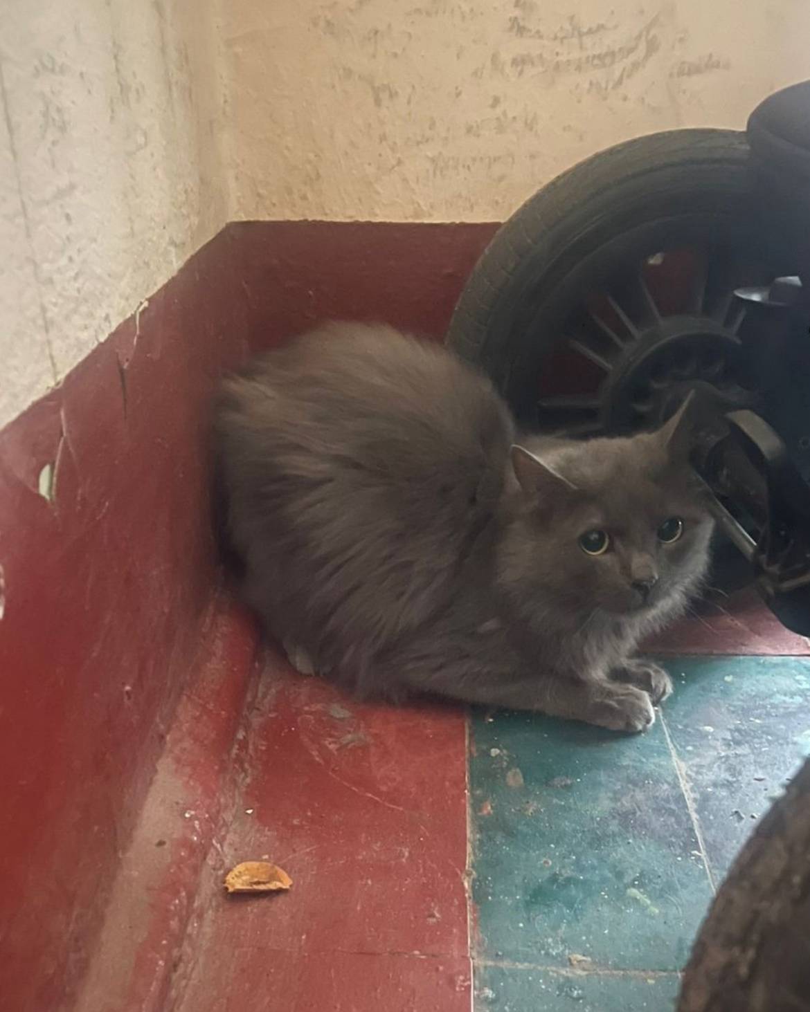 Волгоградский проспект 68.в по...