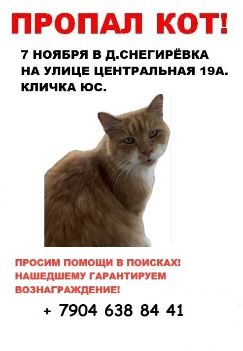 ЛО Приозерский р-н. 7 ноября.....