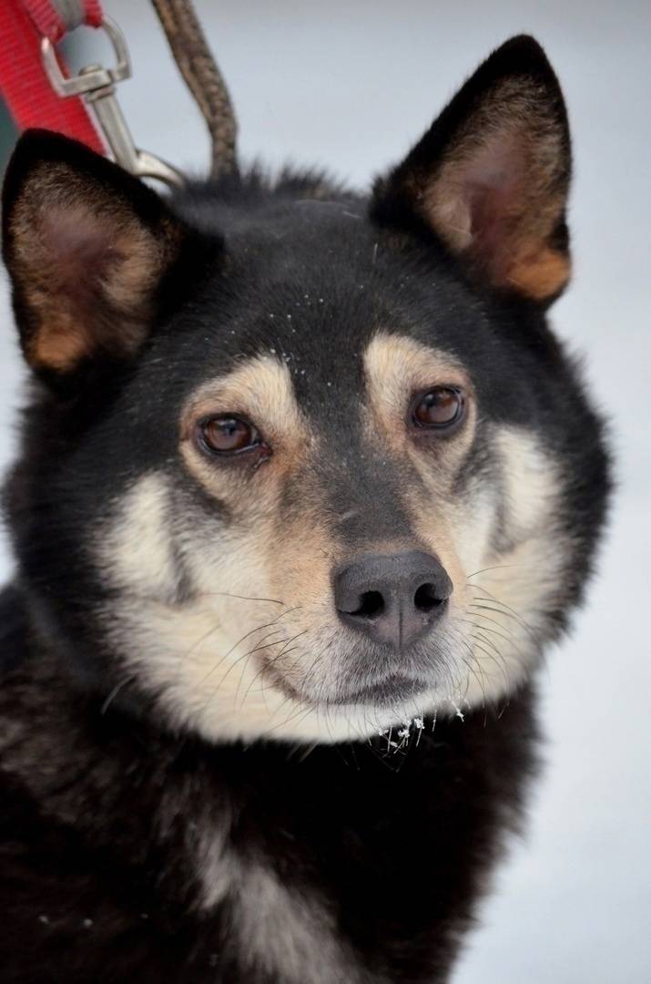 Санкт-Петербург и Ленинградска...
