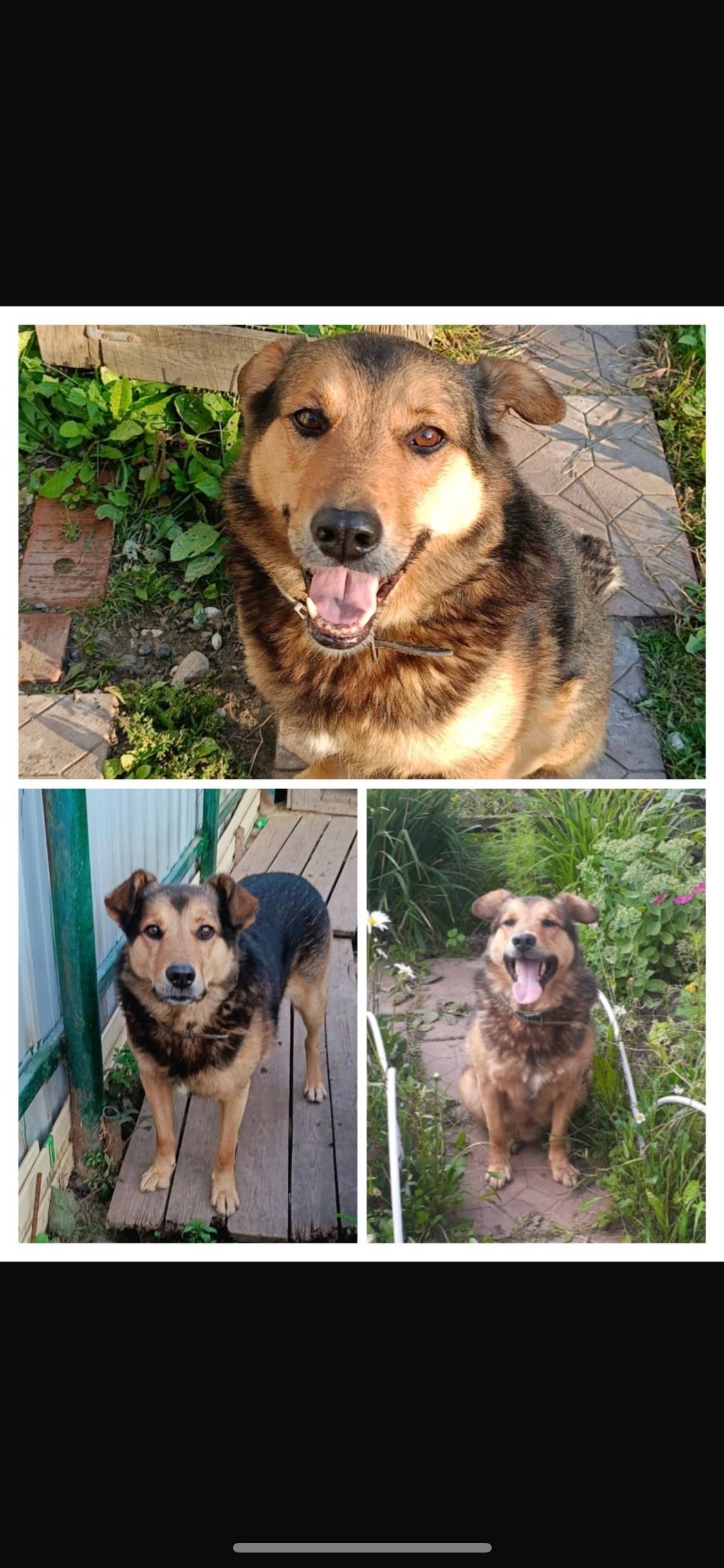 Поиск продолжается SOS! Нужна ...