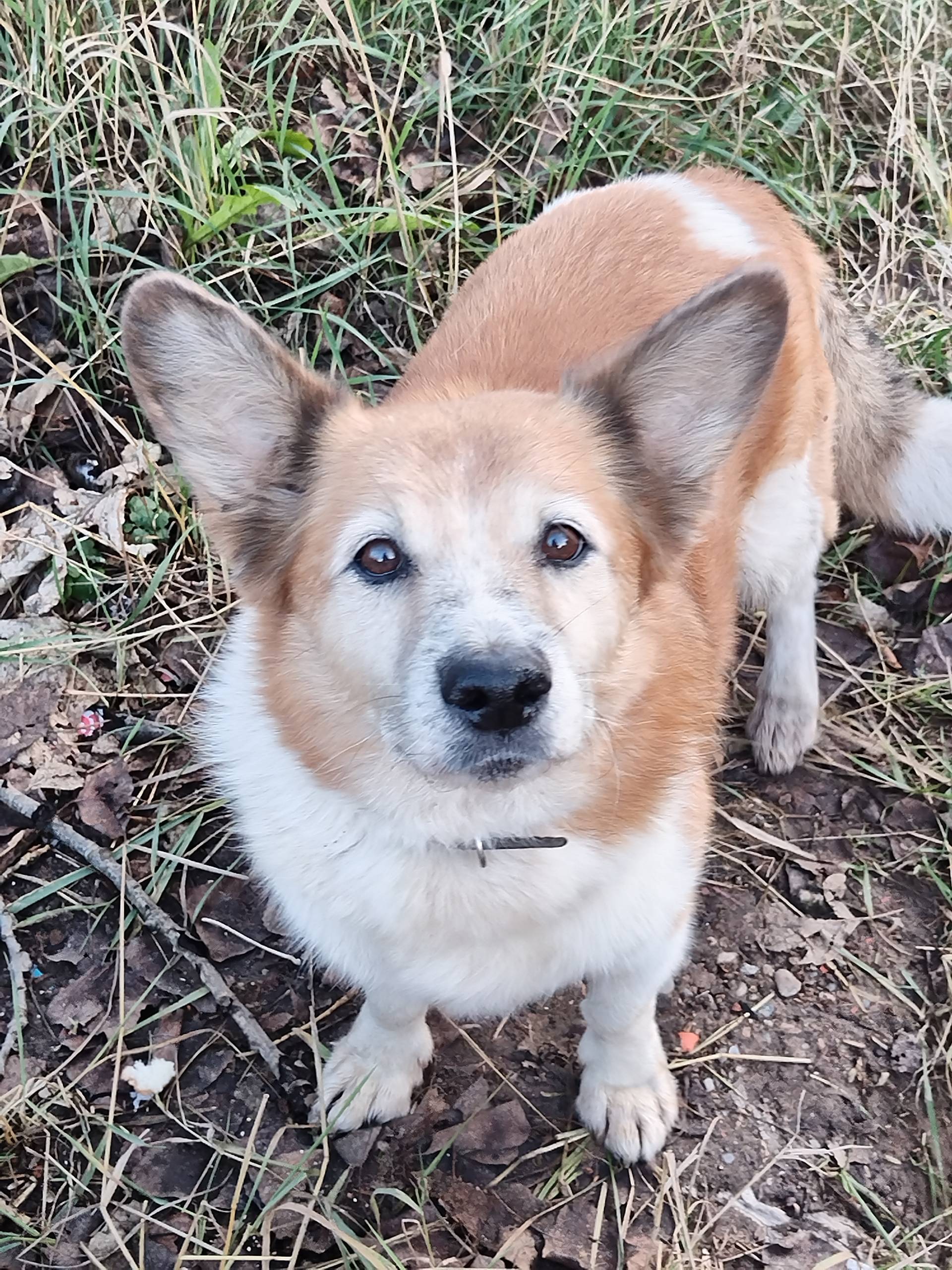 Афонино, ул. Магистральная 309...