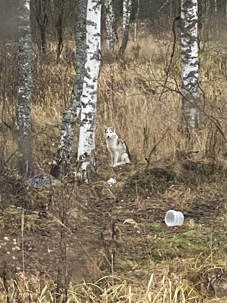Помогаю информационно❗️ АЛЕКСИ...