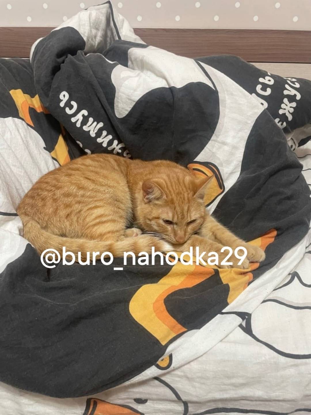 В районе Нефтебазы был найден ...