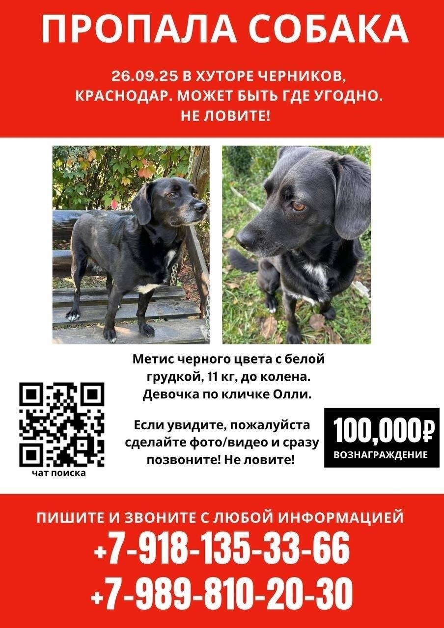 Краснодар📍26 сентября потеряла...
