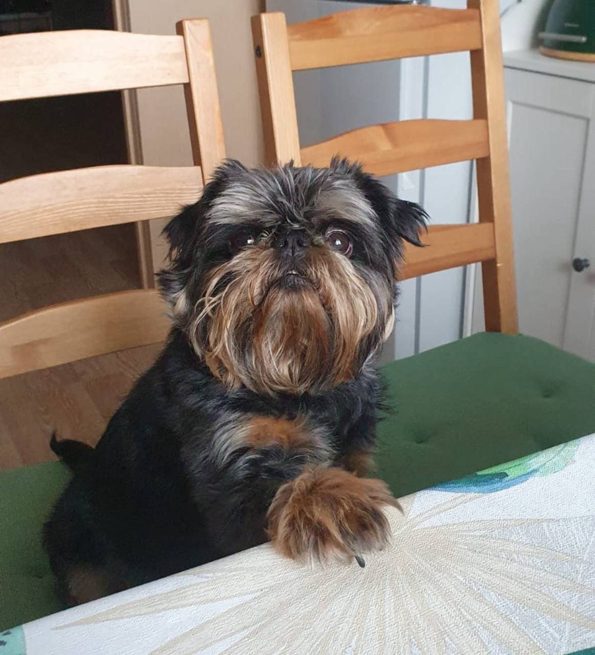 Максимальный репост Сегодня из...