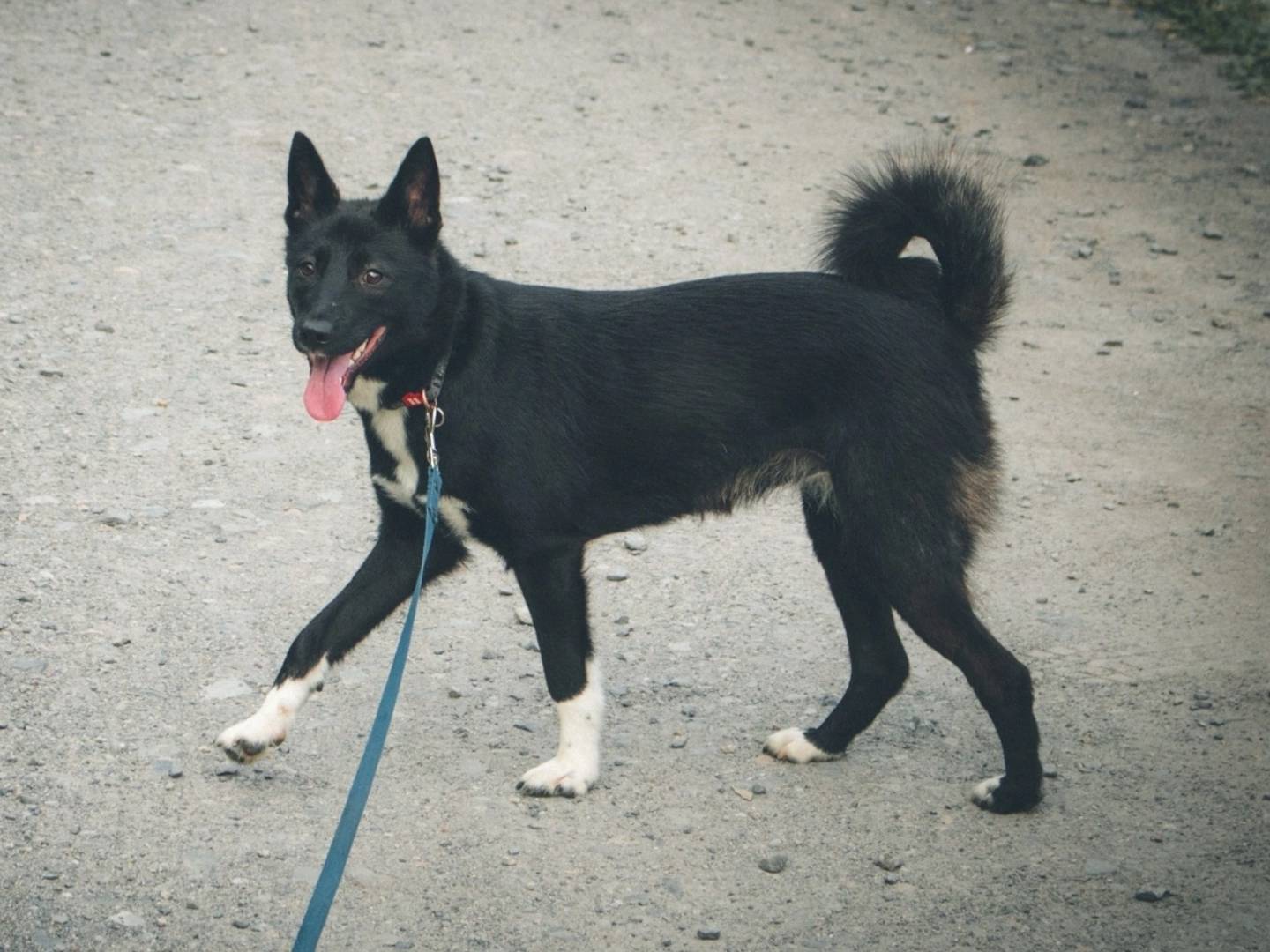 📍жм Плехановский, Калининский ...