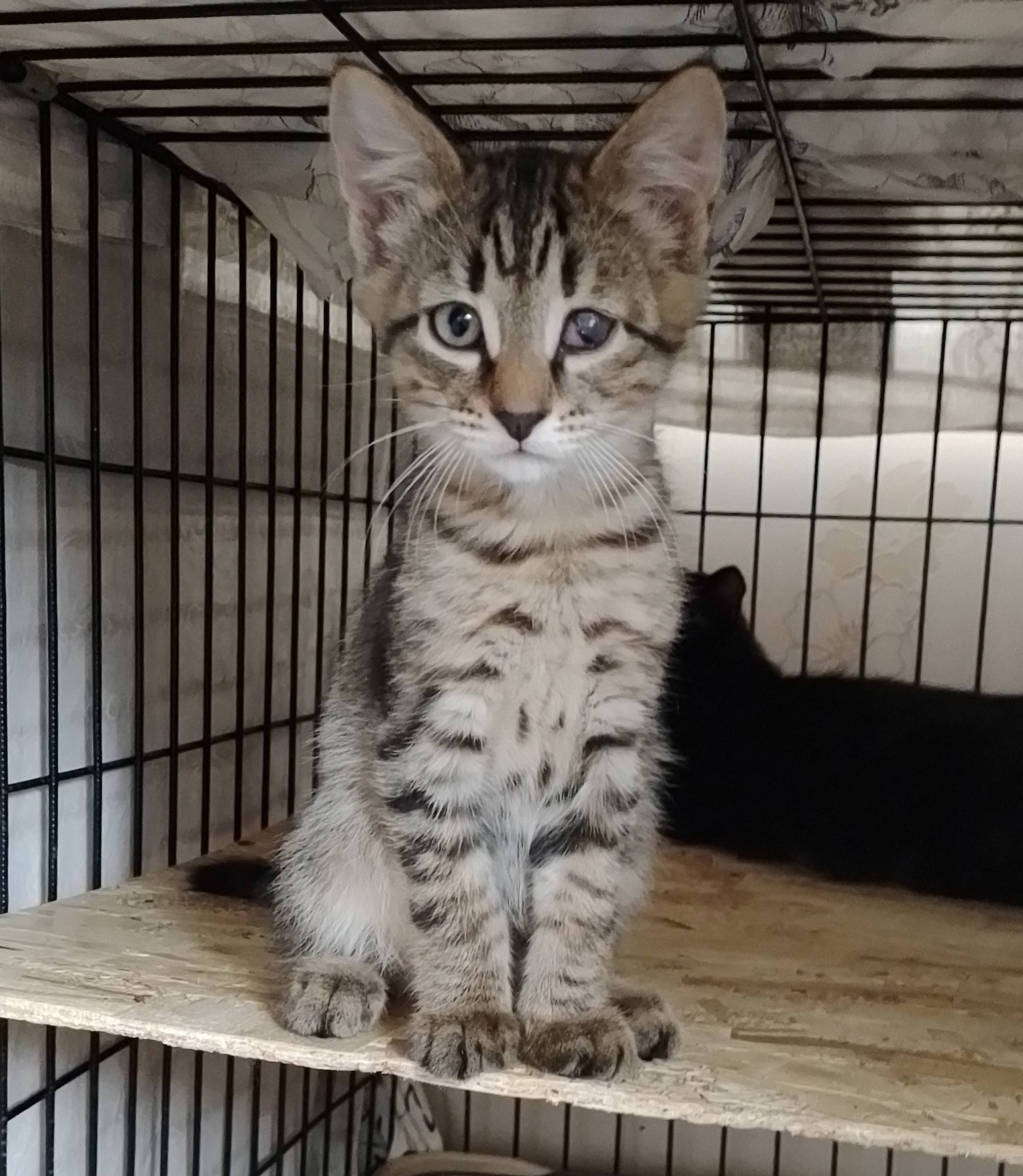 «Шансы небольшие ....но все же...