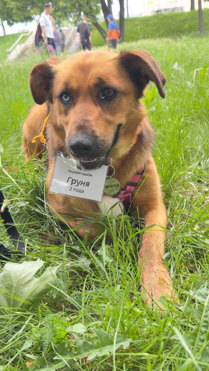 Люди, у нас просто 🆘 ситуация…...