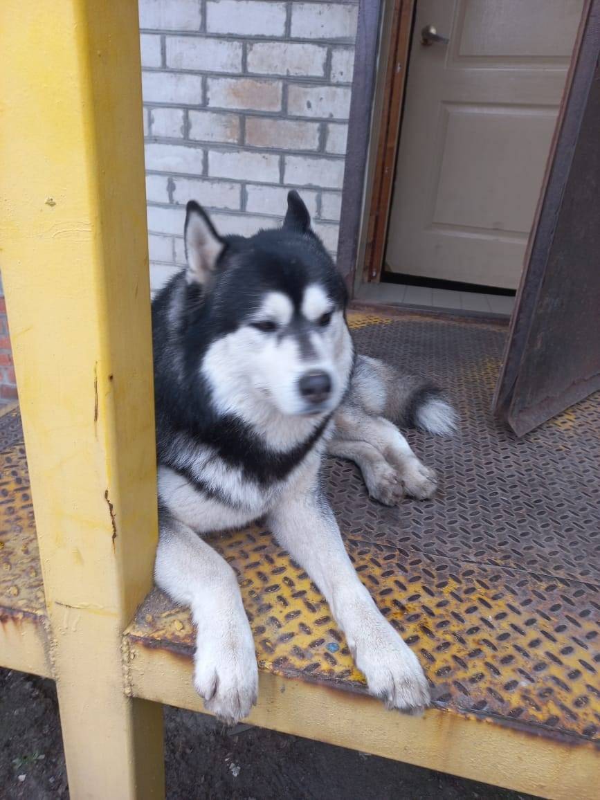 Добрый день! На Рязанской 49 (...