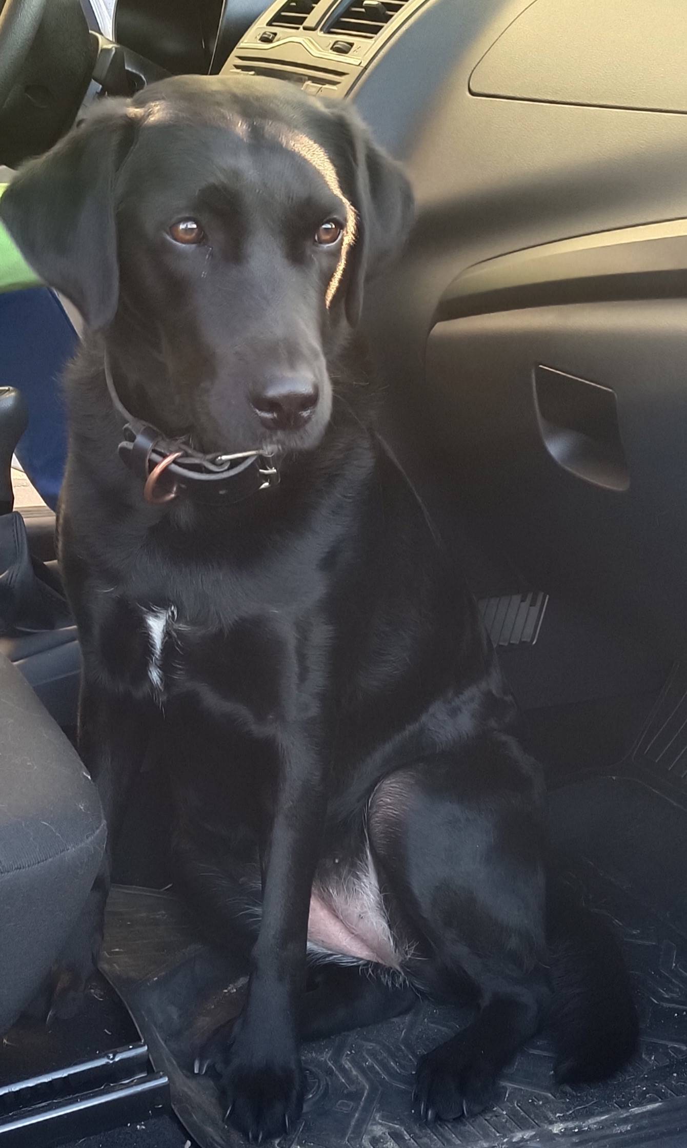 🆘⚡❗ Помогите найти ❗⚡🆘 Помогит...