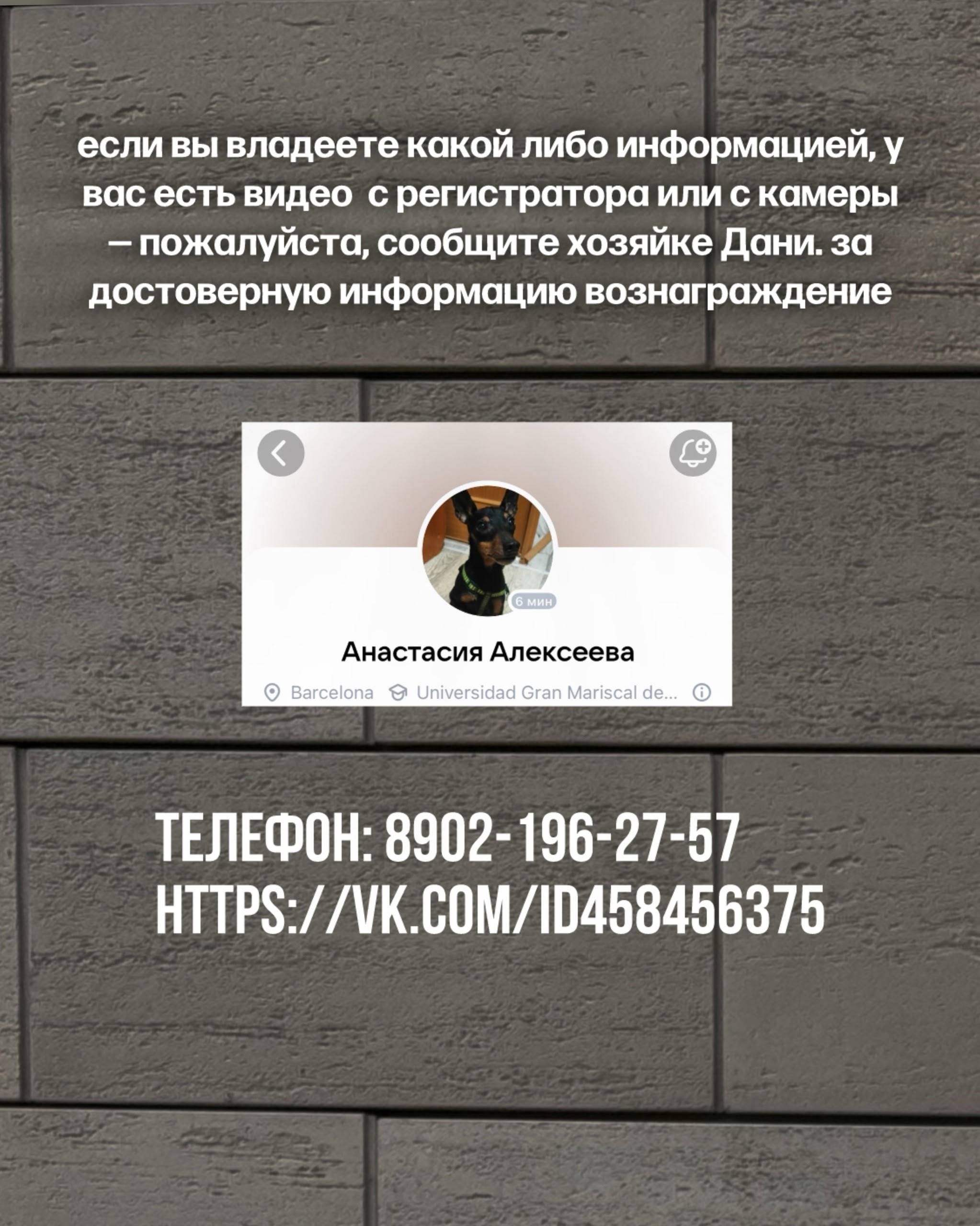 ❗️Даня(цвергпинчер) все еще не...