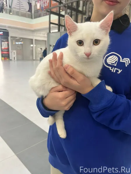 Новочебоксарск Скуби и Валли м...