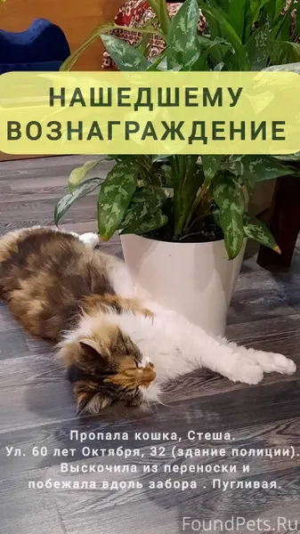 Здравствуйте! Просим помощи жи...