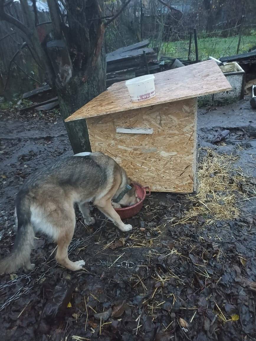 Друзья, односельчане,искренне ...