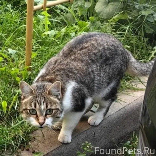 Великий Новгород. Не теряем на...