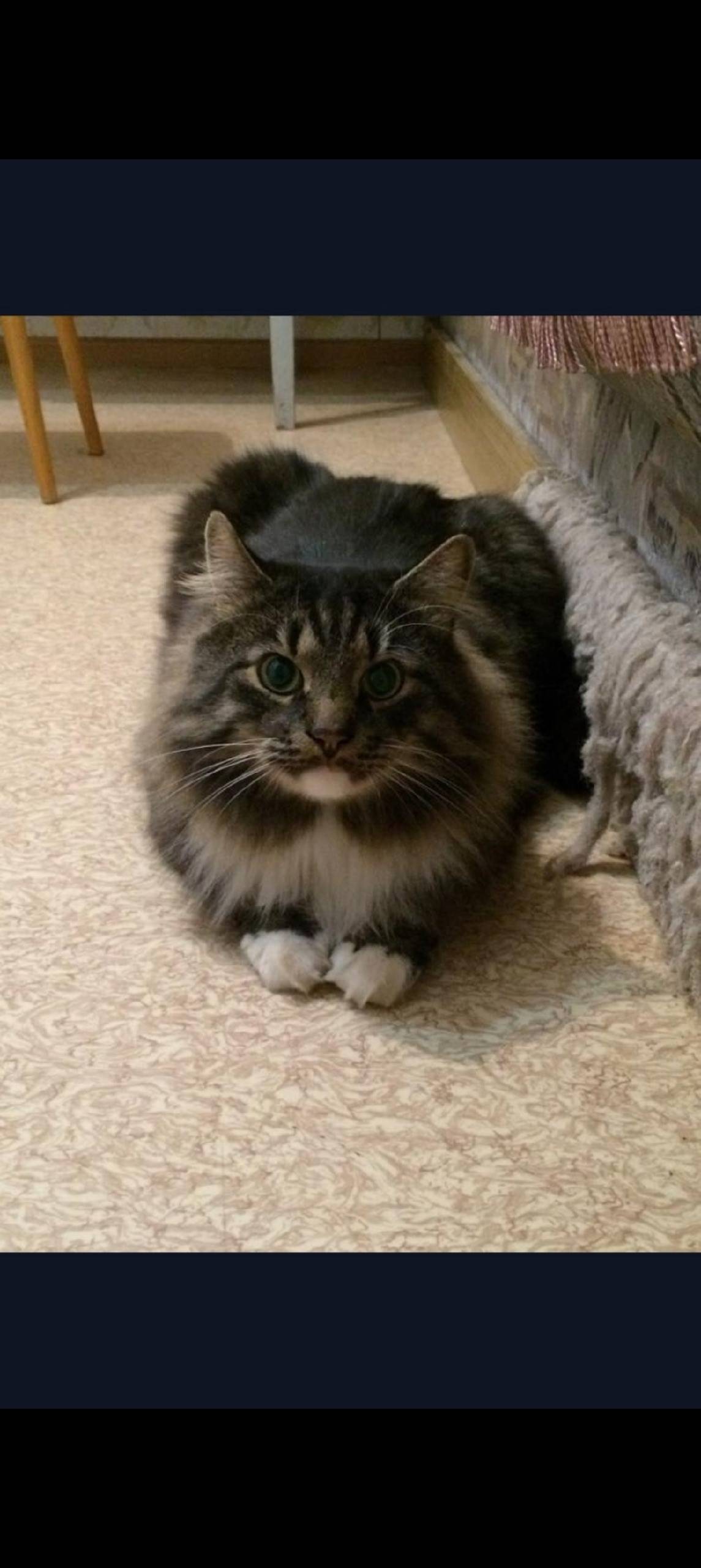 #сторонний_пост ВСЕ ВОПРОСЫ ПО...