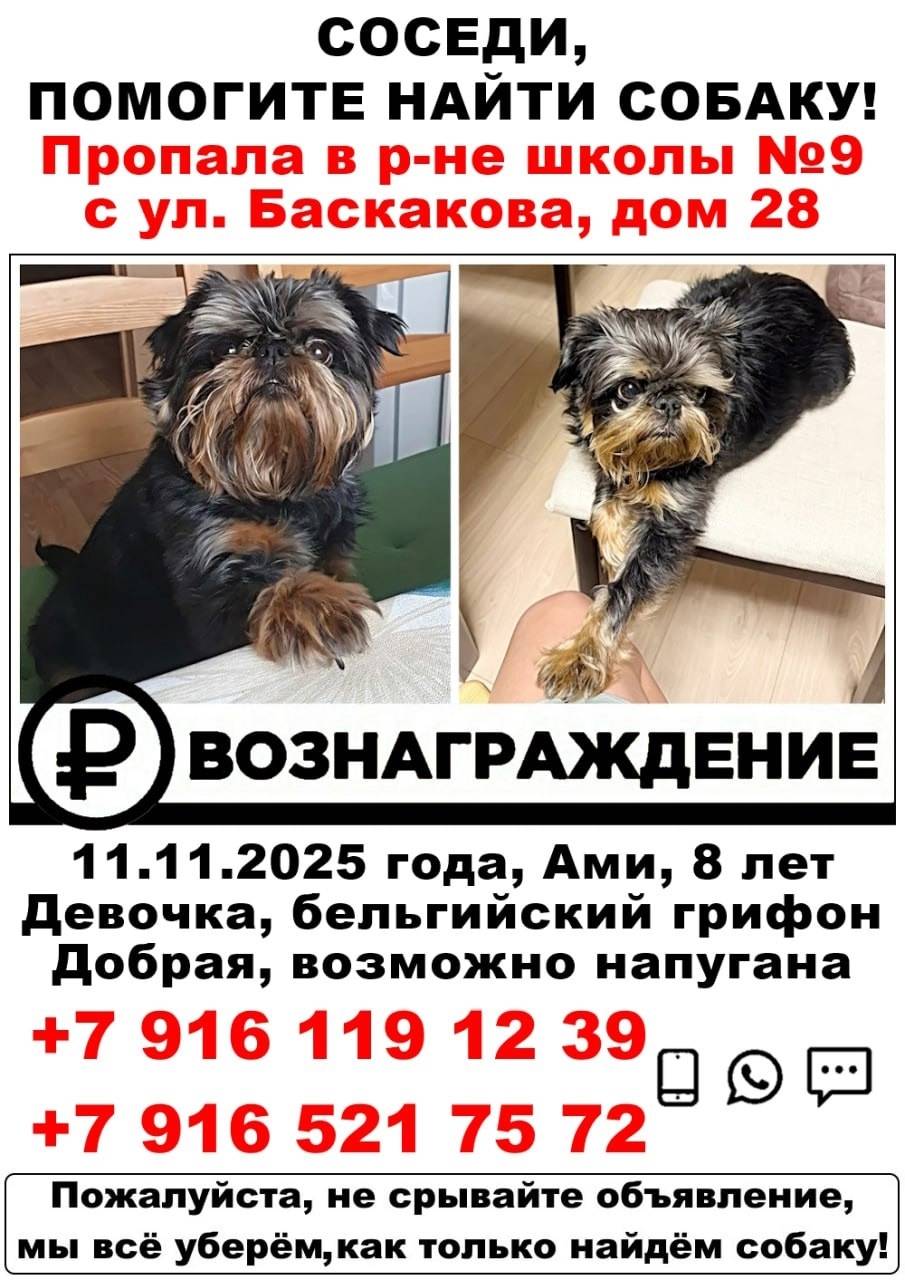 Друзья, прошу откликнуться по ...