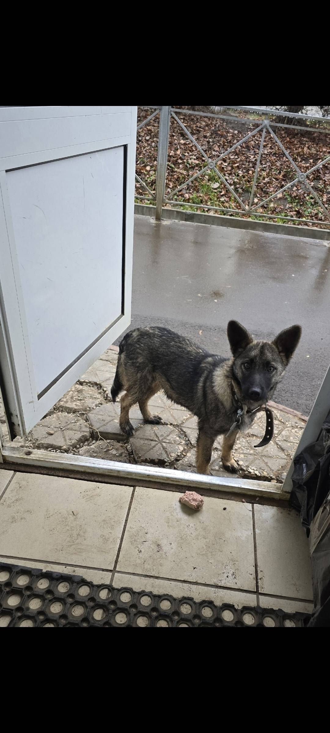 Здравствуйте, друзья Мы продол...