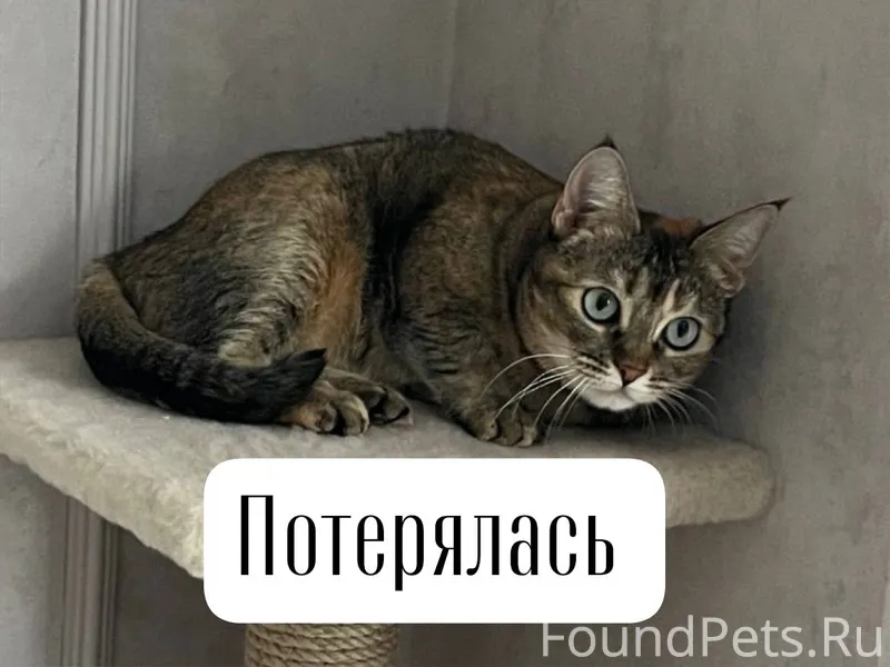 Ставрополь Район кардиоцентра,...