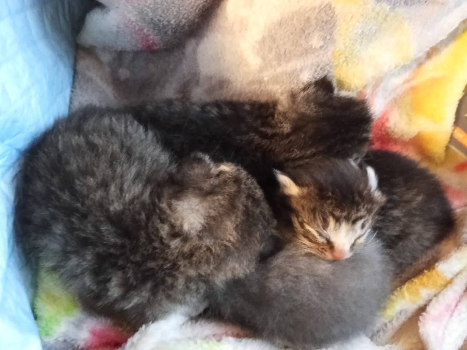 Срочно!!! Нужна помощь🙏🙏🙏🙏🙏. Н...